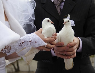 запуск голубей свадебных голубей в Томске